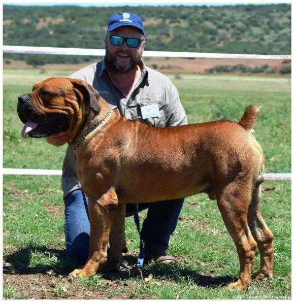 humane animal shelter