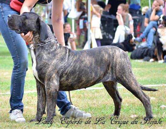 Lady Esporto de La Crique du Flojule