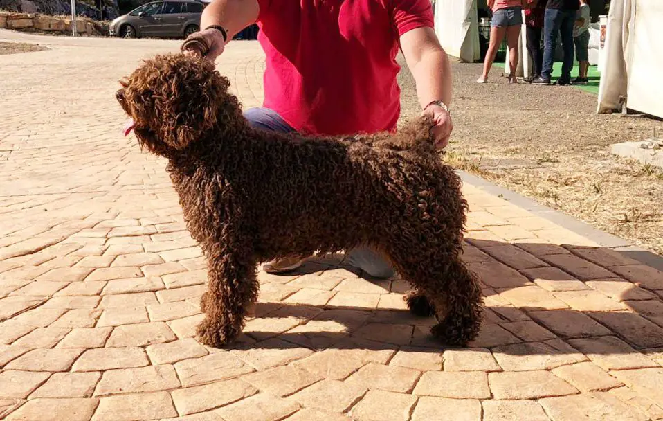 Jabaluna de Guadalteba