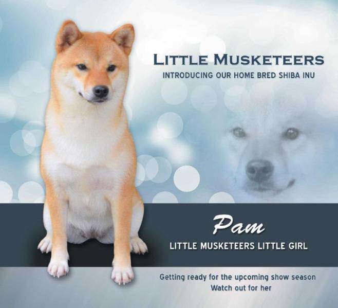 LITTLE MUSKETEERS LITTLE GIRL