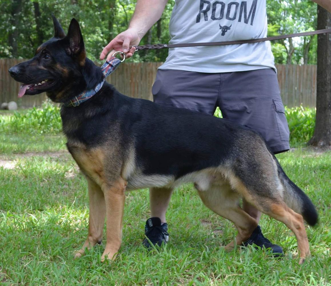 I Thunder vom Norrishaus