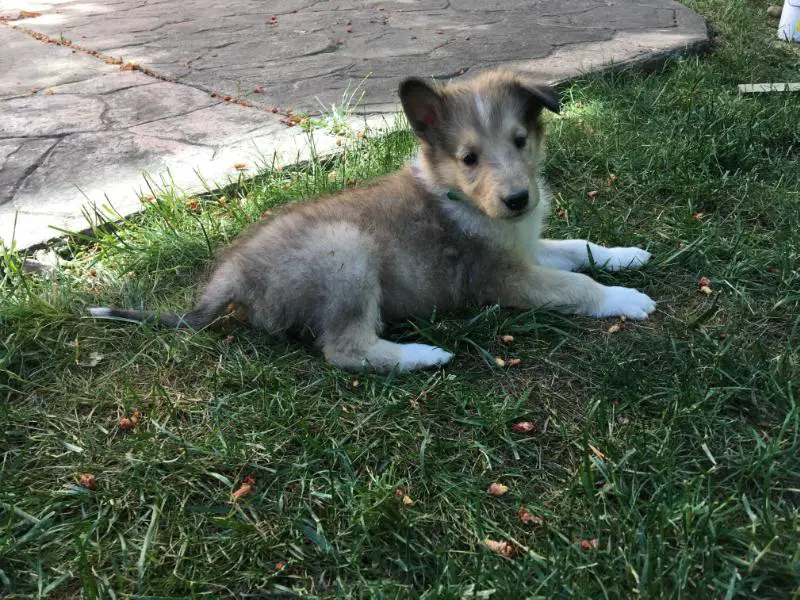 Oliver