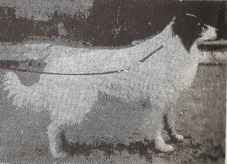 LAMBERT UELBRED