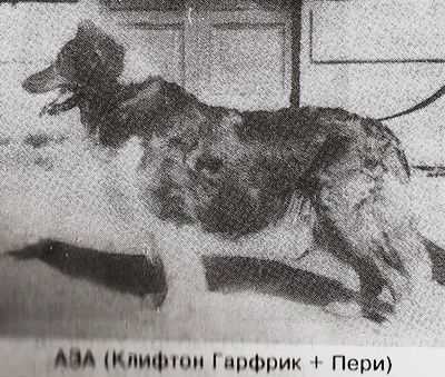 AZA