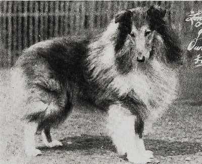 LONGMEADOW LANCER