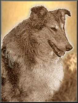PRUE'S GOLDEN REGINA