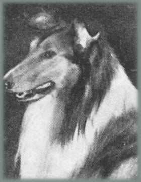 PINEHILL DUKE