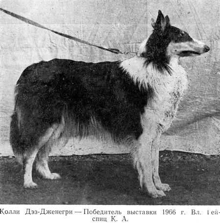 DEZ-DZHENEGRI