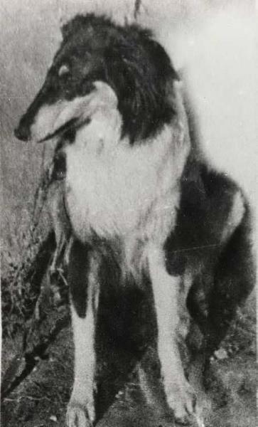 UEL'VI
