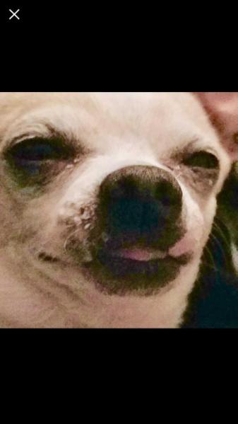 Snowball (El Tutu)
