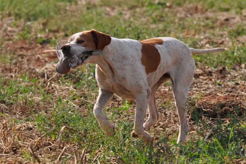 JABULA LAIKA