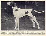 PENNINE PRIMA DONNA