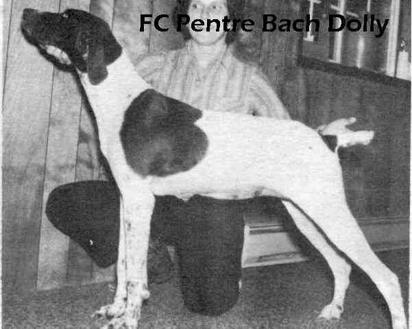 PENTRE BACH DOLLY