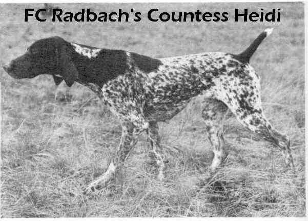 RADBACH COUNTESS HEIDI