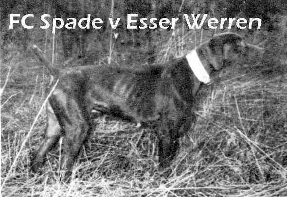 SPADE V ESSER WERREN