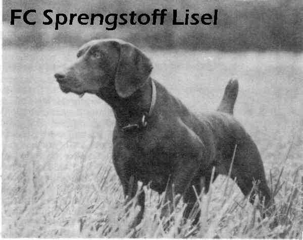 SPRENGSTOFF LISEL