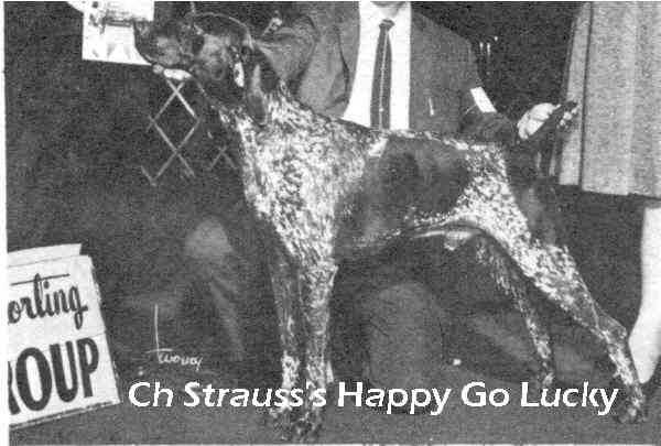 STRAUSS'S HAPPY GO LUCKY
