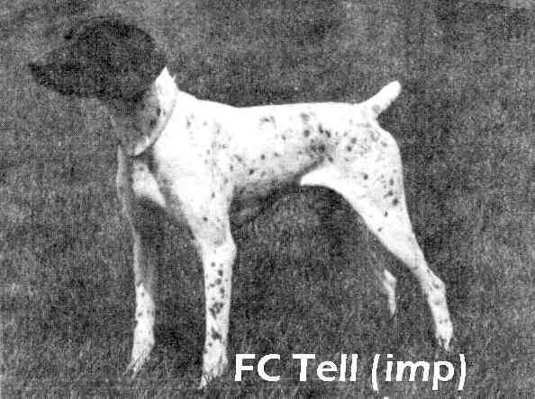 TELL (IMP)