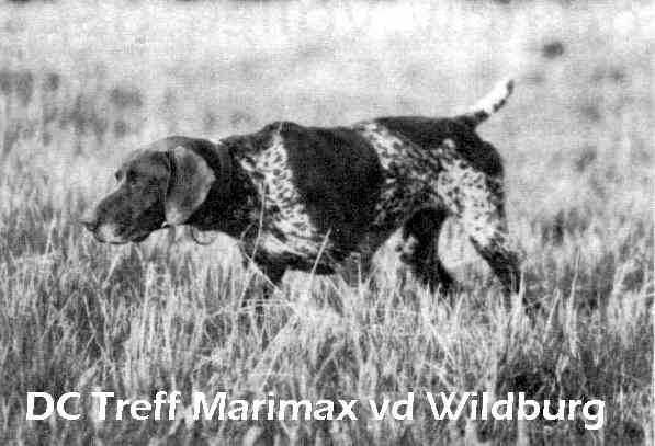 TREFF MARIMAX V WILDBURG