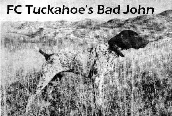 TUCKAHOE'S BAD JOHN