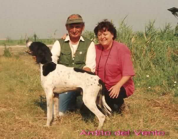 Ardito del Vento