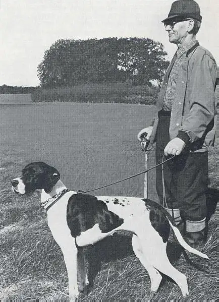 ZITAS NANNA