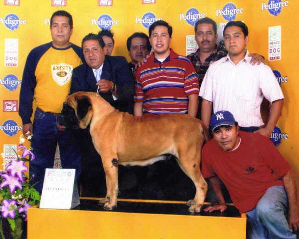 GALA (TAPIA)