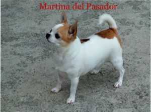 MARTINA-PC DEL PASADOR