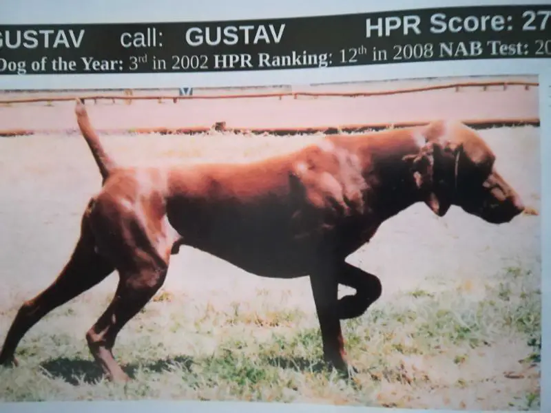 GUSTAV NA
