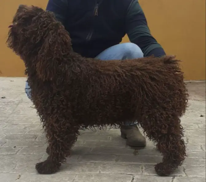 Curibel de Guadalteba
