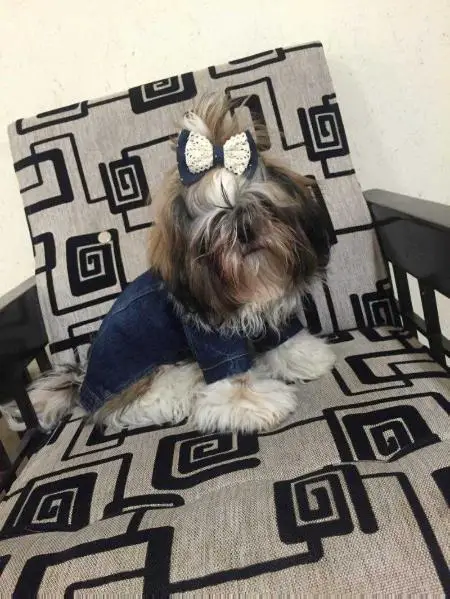Argos von mahoon
