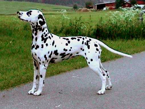 Perdita’s Kiss Me Better
