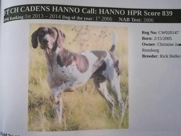 CADENS HANNO ( IMP USA)