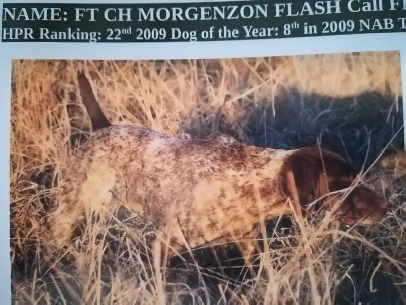 MORGENZON FLASH