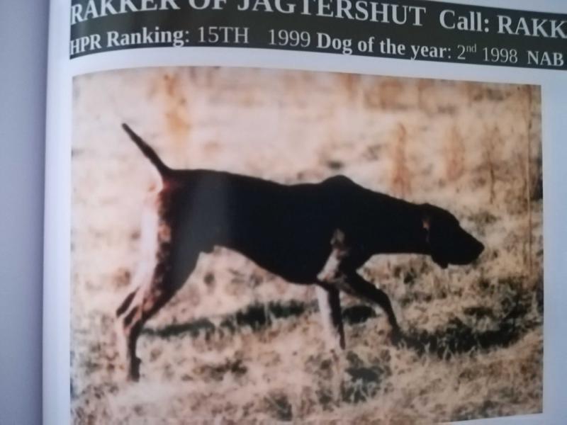 RAKKER OF JAGTERSHUT