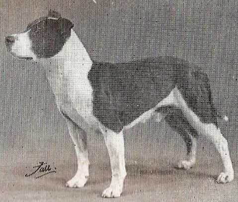 Admiral Albert