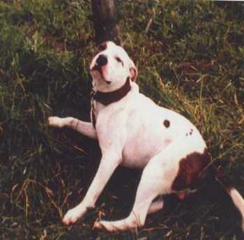 Northford Minter