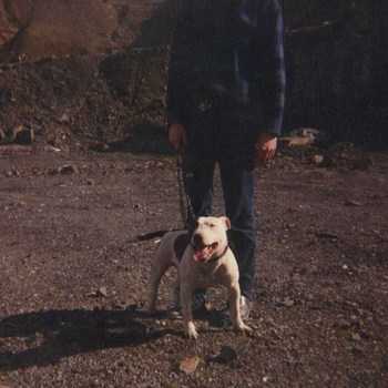 Ewbank's Flint