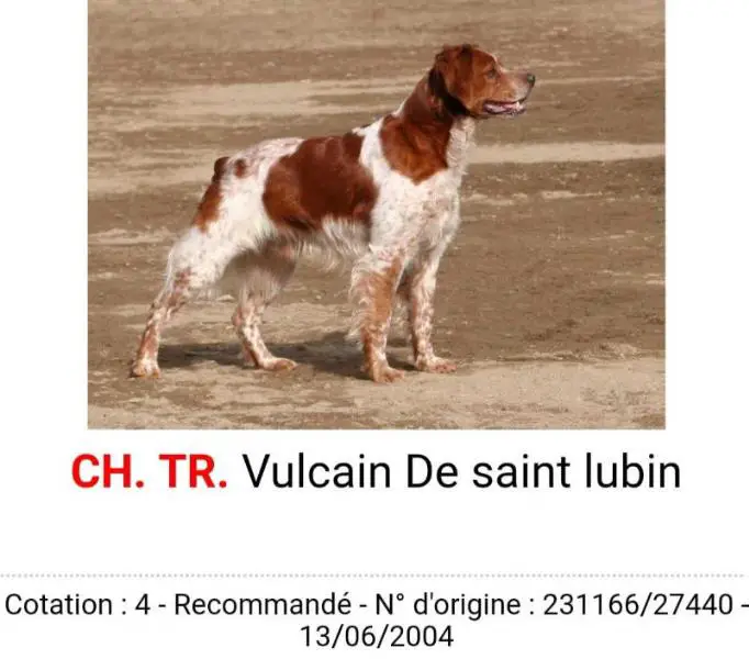 VULCAIN de Saint Lubin