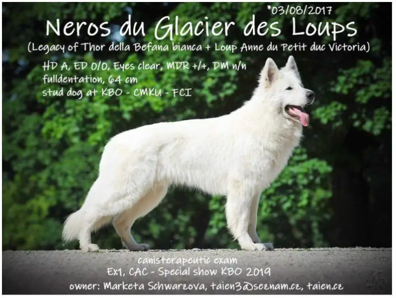 V1, CAC Neros DGDL (du Glacier des Loups)
