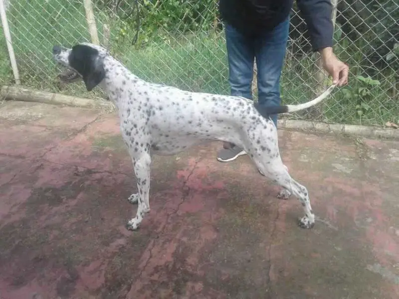 Monilus EROS IN
