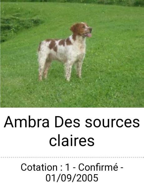 AMBRA des Sources Claires