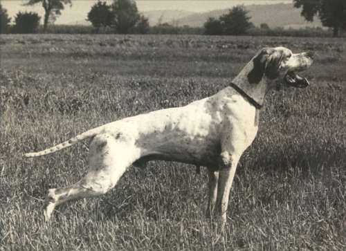 Pul Degli uberti