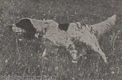 Crismani Buck	