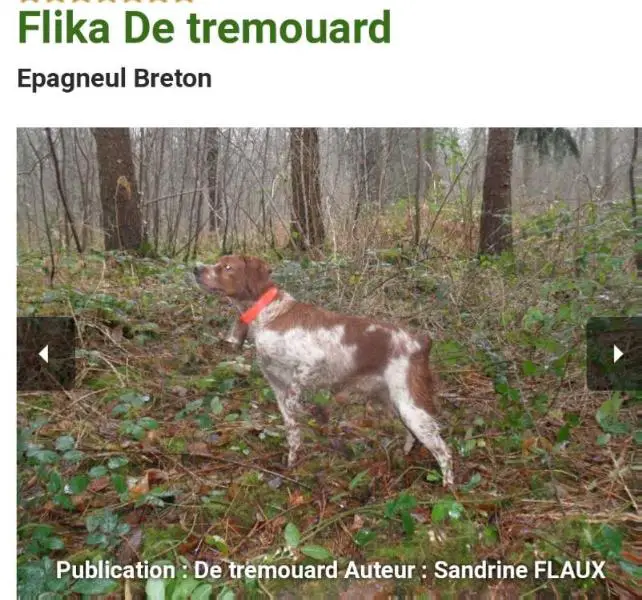 FLIKA de Tremouard