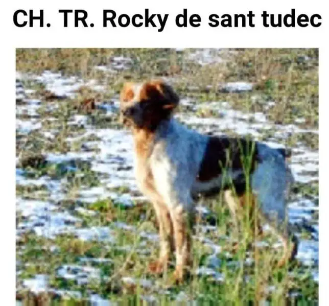 ROCKY de Sant Tudec