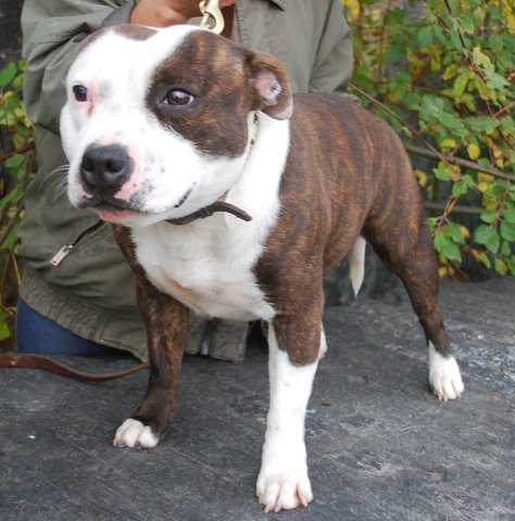 KAMIRA KITANA OF CANTERBURY