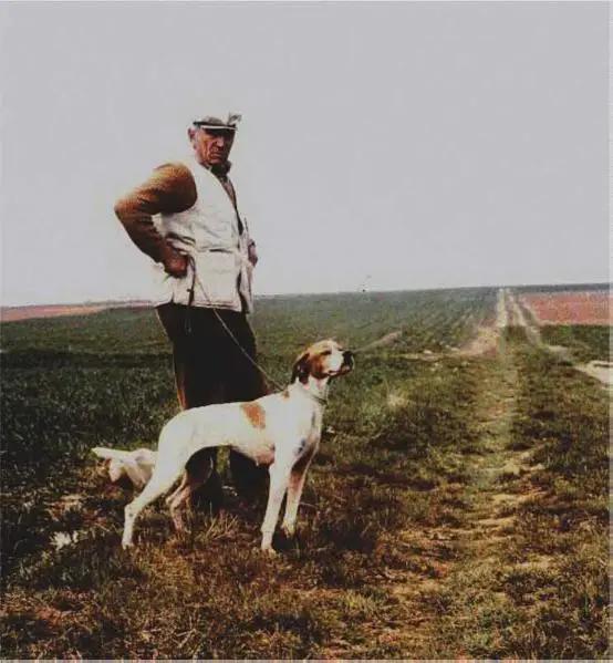 Jaga di Veronello