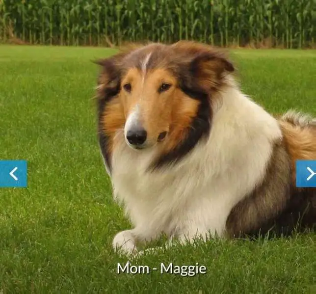 Clark Station's Maggie