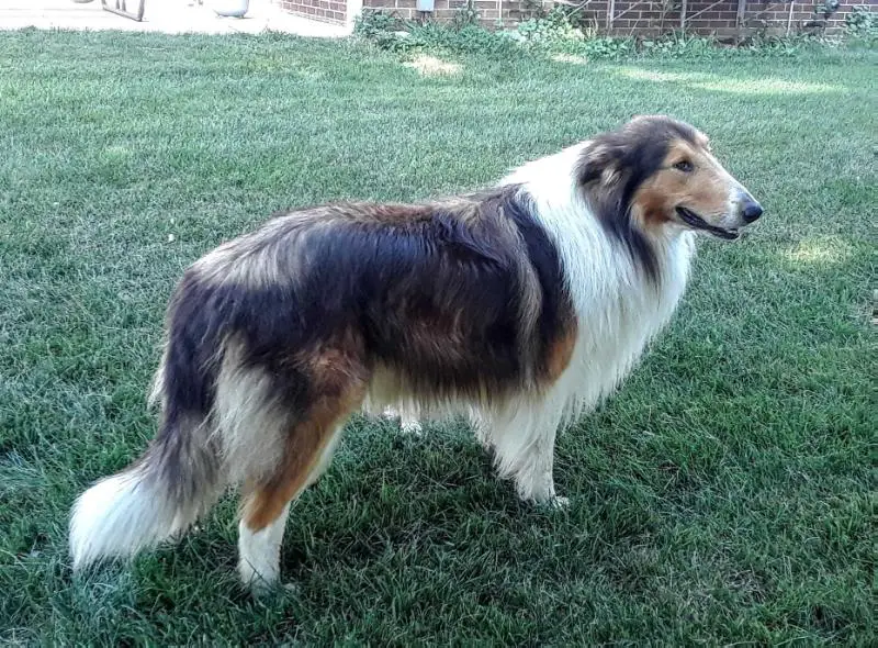 Kecmr Barney